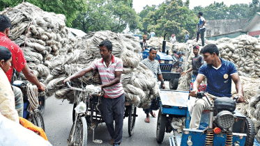 Falling exports hit jute growers