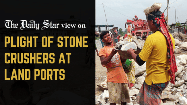 plight of stone crushers at land ports