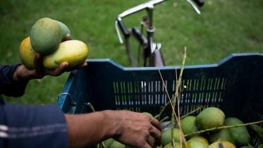 Taste the best of Bangladesh: Must-try dishes and destinations 