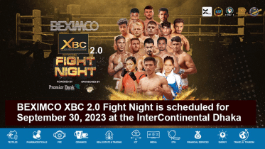 boxing.gif