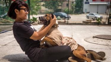 Problems of owning a dog in Dhaka