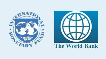world_bank-imf