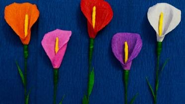 What's Real, really?