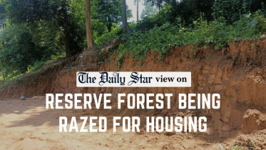 reserve forest being razed for housing in chattogram