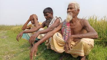 International Day for the Eradication of Poverty 2023