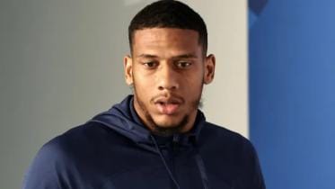 todibo.jpg