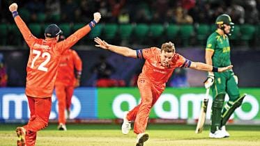netherland-cricket.jpg