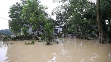 Debt cancellation for climate finance