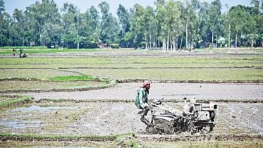 How farmers are adapting to climate change
