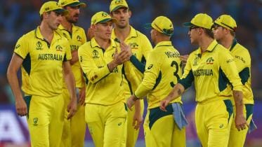 Australia Cricket.jpg