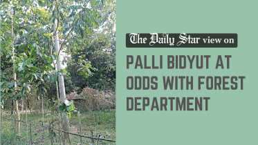 palli bidyut at odds with forest department