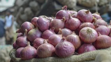incentive for summer onion growers