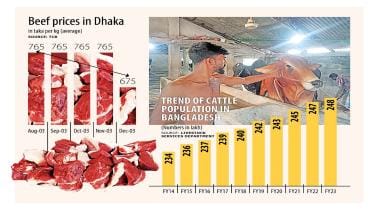 beef_prices_in_bangladesh_graph.jpeg