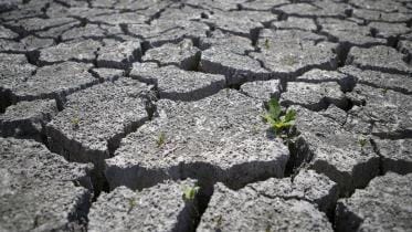 desertification-and-drought-day.jpg