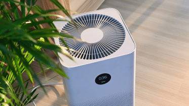 Air purifiers winter