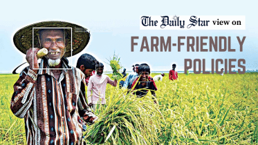 farm-friendly policies in bangladesh