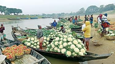 Winter vegetables price hike in peak season