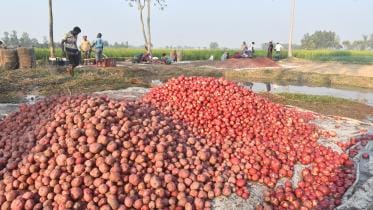potato price in bangladesh