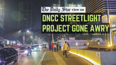 dncc streetlight project gone awry