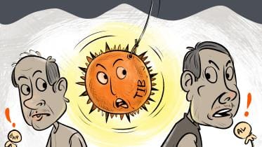 TIB's report on Bangladesh national election