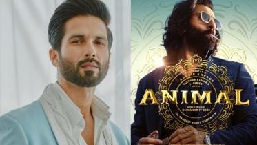 shahid_kapoor_in_aminal_sequel.jpg