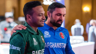 shakib-nabi.gif