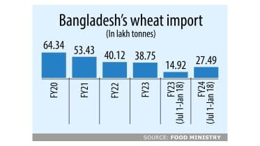 Wheat import rebounds to two-year high