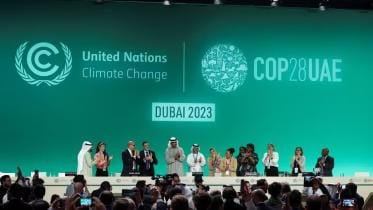 COP28