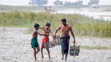 sundarban-crab-ban-1.jpg