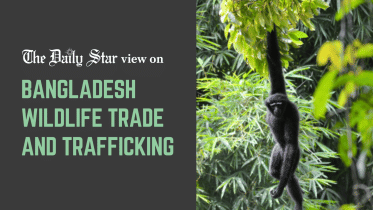 wildlife trafficking in bangladesh