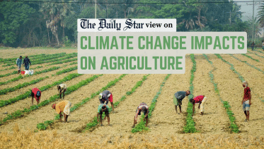 climate change impacts on agriculture