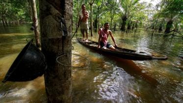 Asia-Pacific nations must work together to protect nature