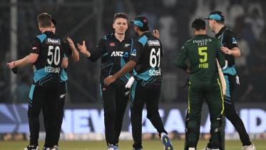 Michael Bracewell.jpg