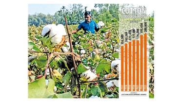 trends_of_cotton_farming_final.jpg