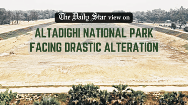 strict oversight is vital to end the tree-cutting