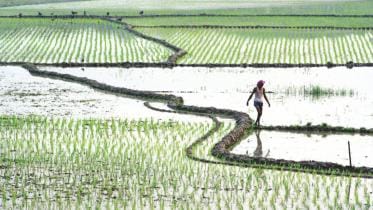 Agrarian question in bangladesh 