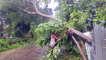 cyclone remal power restoration