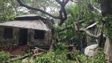 resilience of cyclone survivors
