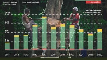 Decade of deforestation infographic