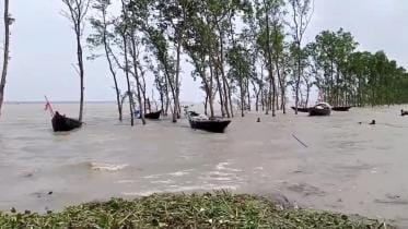 losses caused by cyclone remal