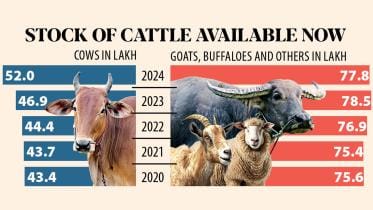 sacrificial animals for Eid Ul Azha