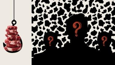 A monologue on the beasts among us