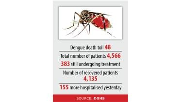 dengue.jpg
