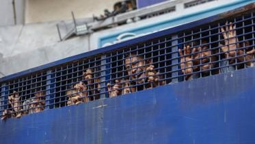 Why cancel prisoners’ right to visitation?