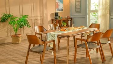 Indoor plant decor tips for every home 