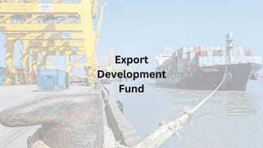export_development_fund_20240813_142606_0000.jpg