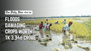 floods damage crops worth 3.346 crore