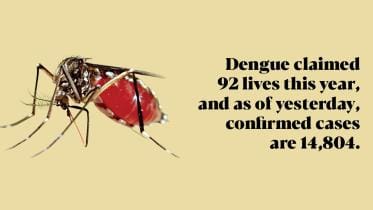 dengue-mosquto.jpg