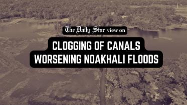 Restoration of natural drainage a must