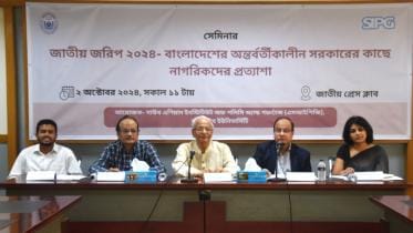 interim government tenure